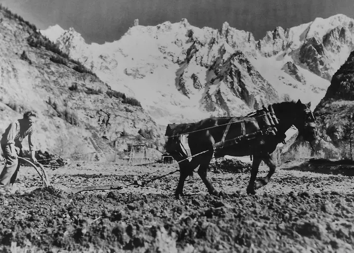 Lo Campagnar 3* Courmayeur